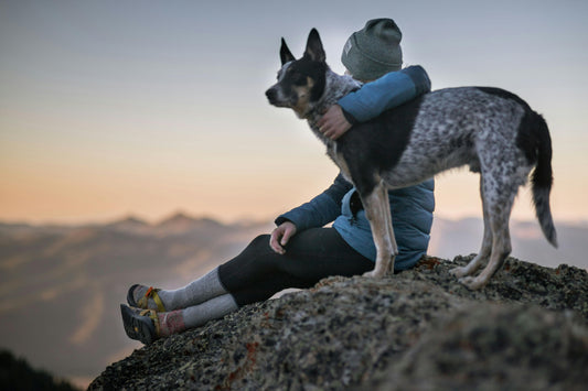 Top 10 Fun Activities to Keep Your Dog Engaged and Happy