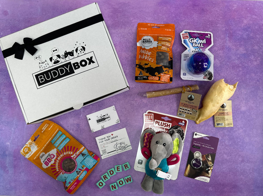 Standard GiftBox