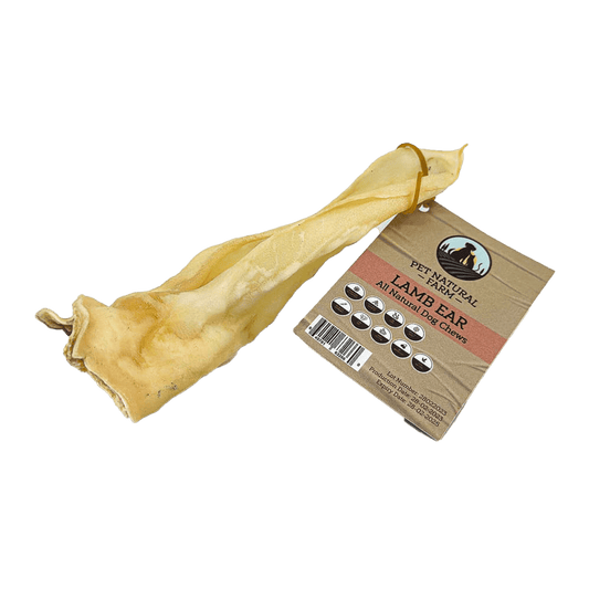 Lamb Ear